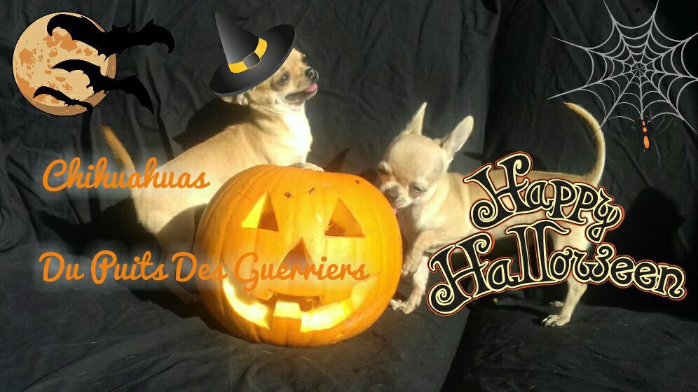 Du Puits Des Guerriers - Happy Halloween 