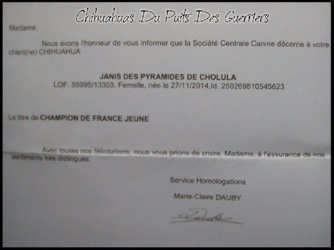 Du Puits Des Guerriers - Janis Des Pyramides de Cholula Championne de France Jeune 2016